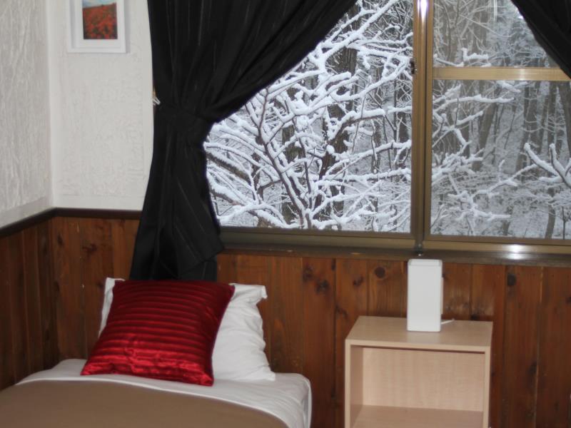 Alpine Lodge Hakuba Exterior photo